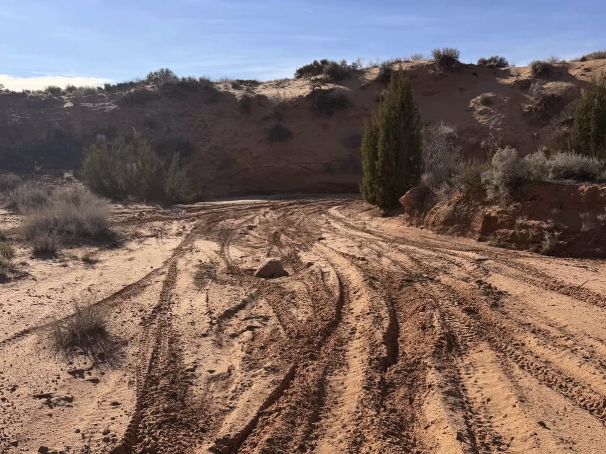 BFS1 trail photo