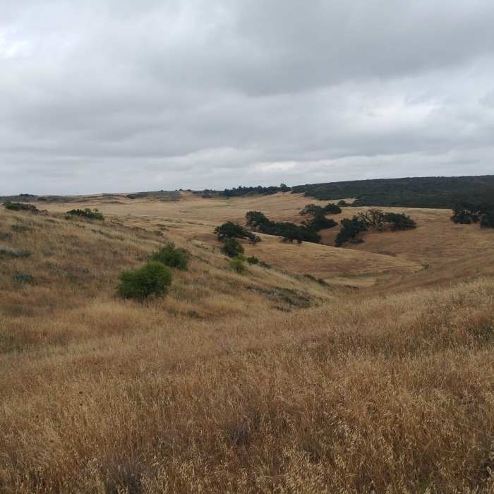 Near Santa Rosa Plateau Boundary