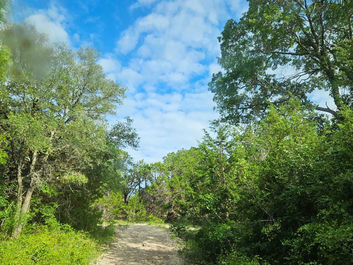 Gus's Gulch photo 6