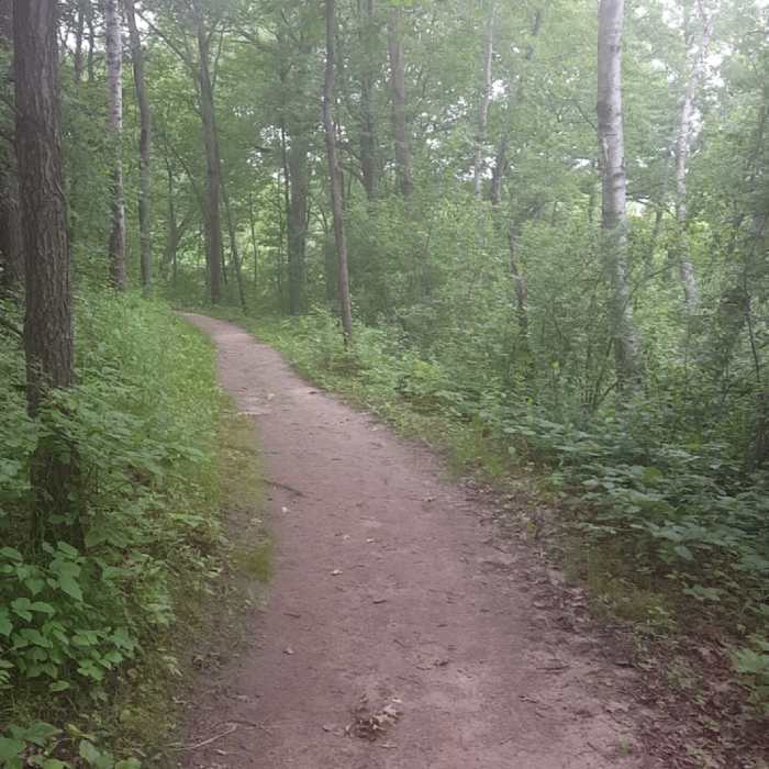 Photo of the trail. Near Lebanon Hills Regional Park