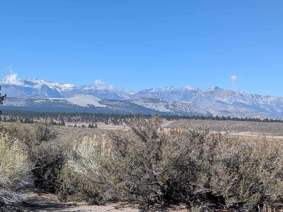 Sage Hen Meadows Road photo 6