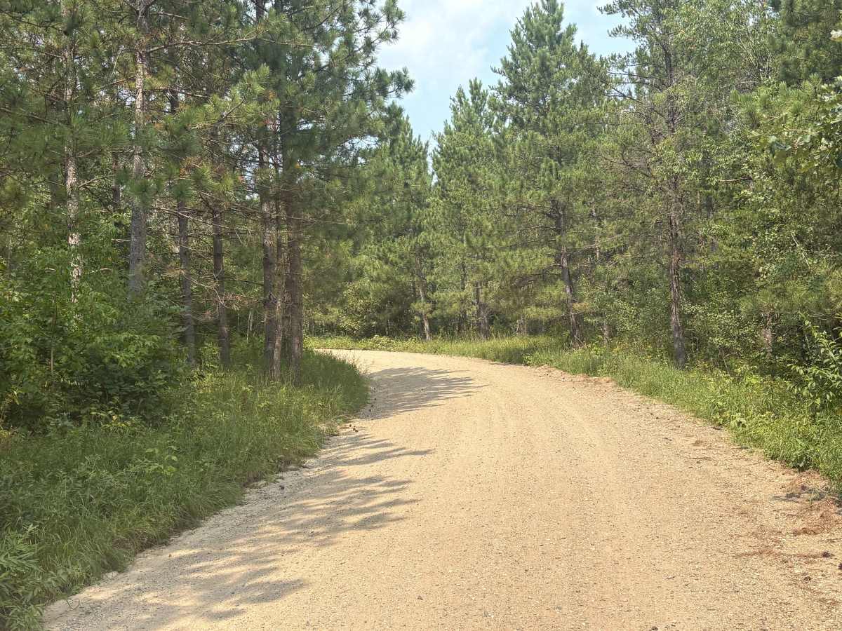 South Two Inlets Trail photo 4
