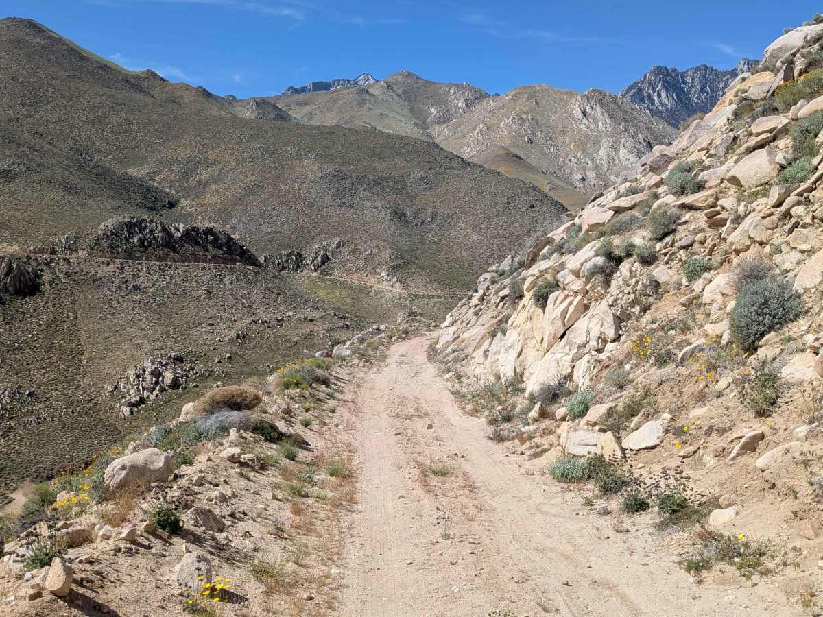 Sand Canyon Cliff Road - BLM 117  photo 5