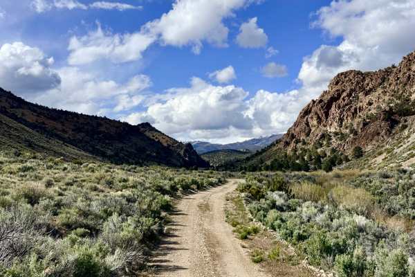 Peavine Creek - FS 44020