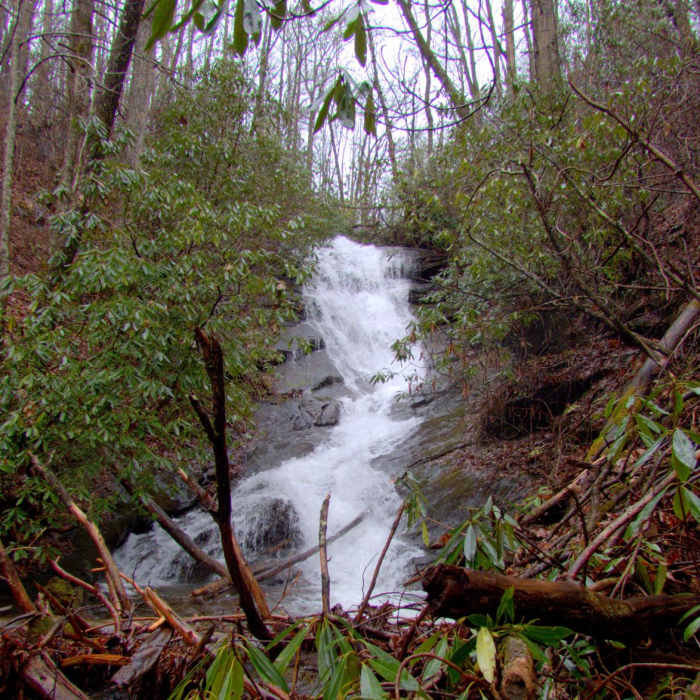 Near Denton Creek Falls Trail Near Denton Creek Falls Trail