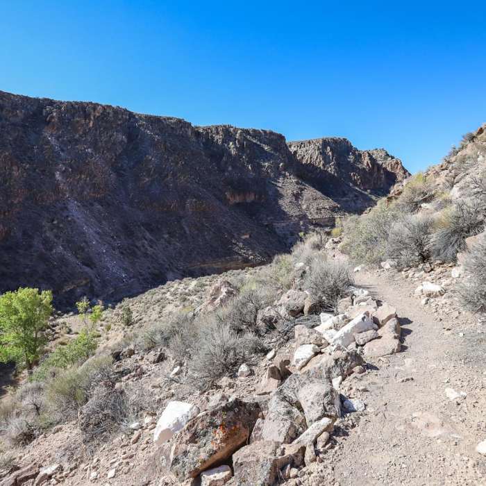 Near Canyon View Loop Near Canyon View Loop