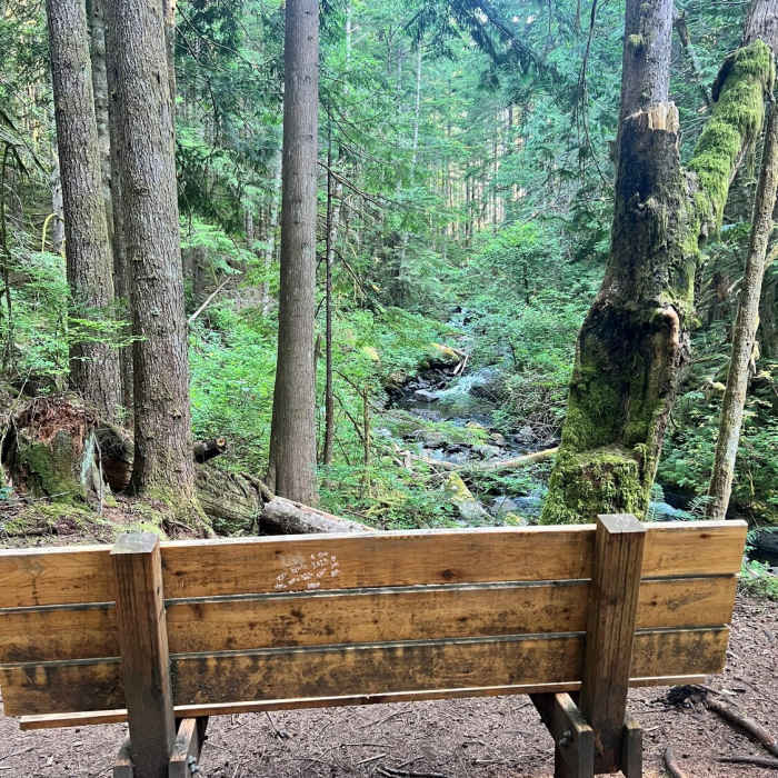 Near Greg Ball Trail