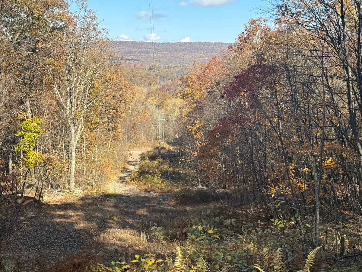 Trail 4 photo 3