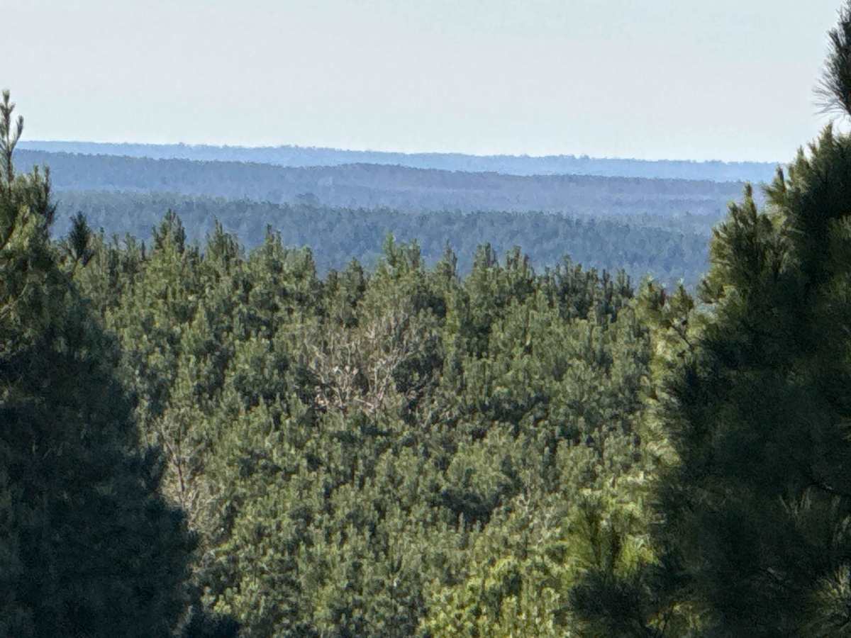 East Signal Mountain photo 5