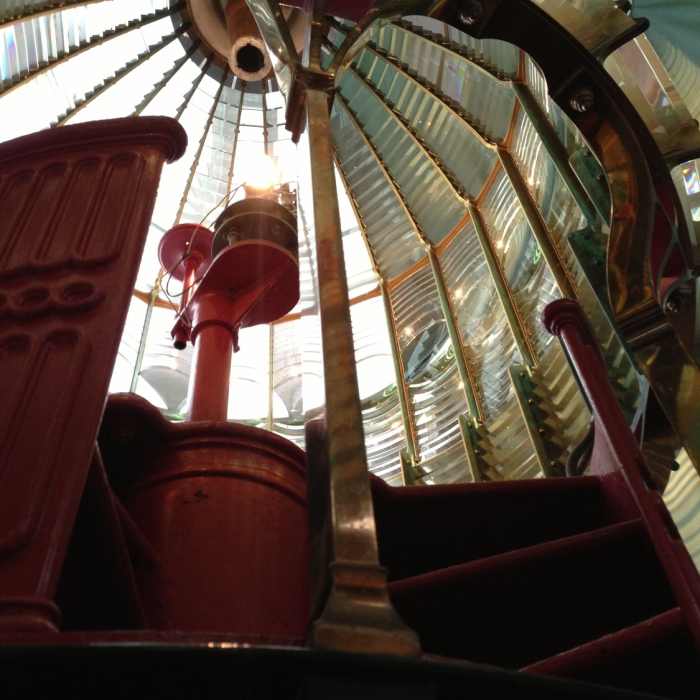 Near Point Reyes Lighthouse Trail