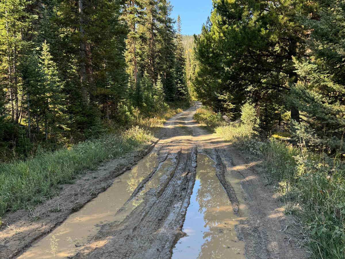 Smith Creek Road photo 4