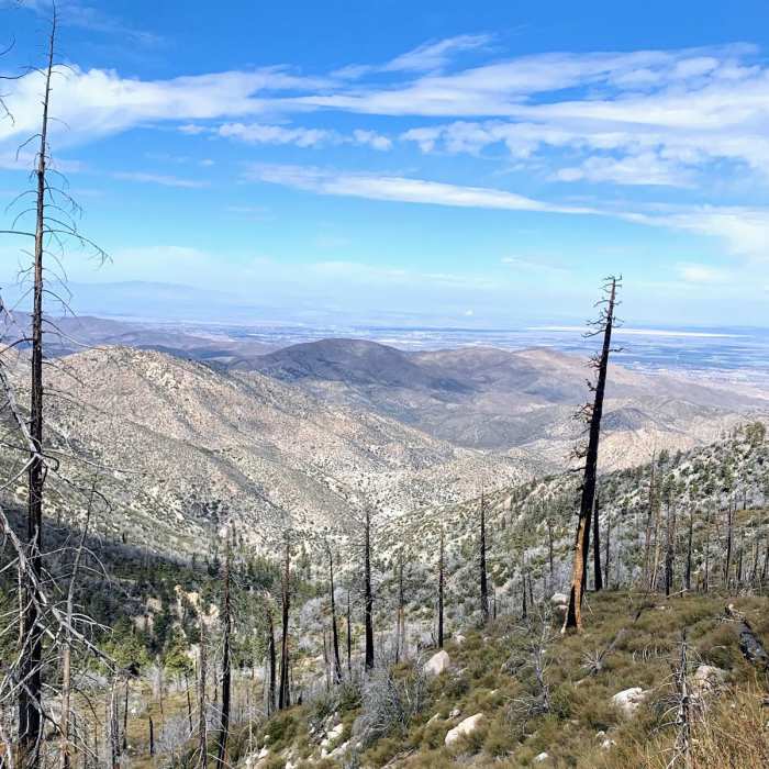 Near Three Points to Mill Creek Loop