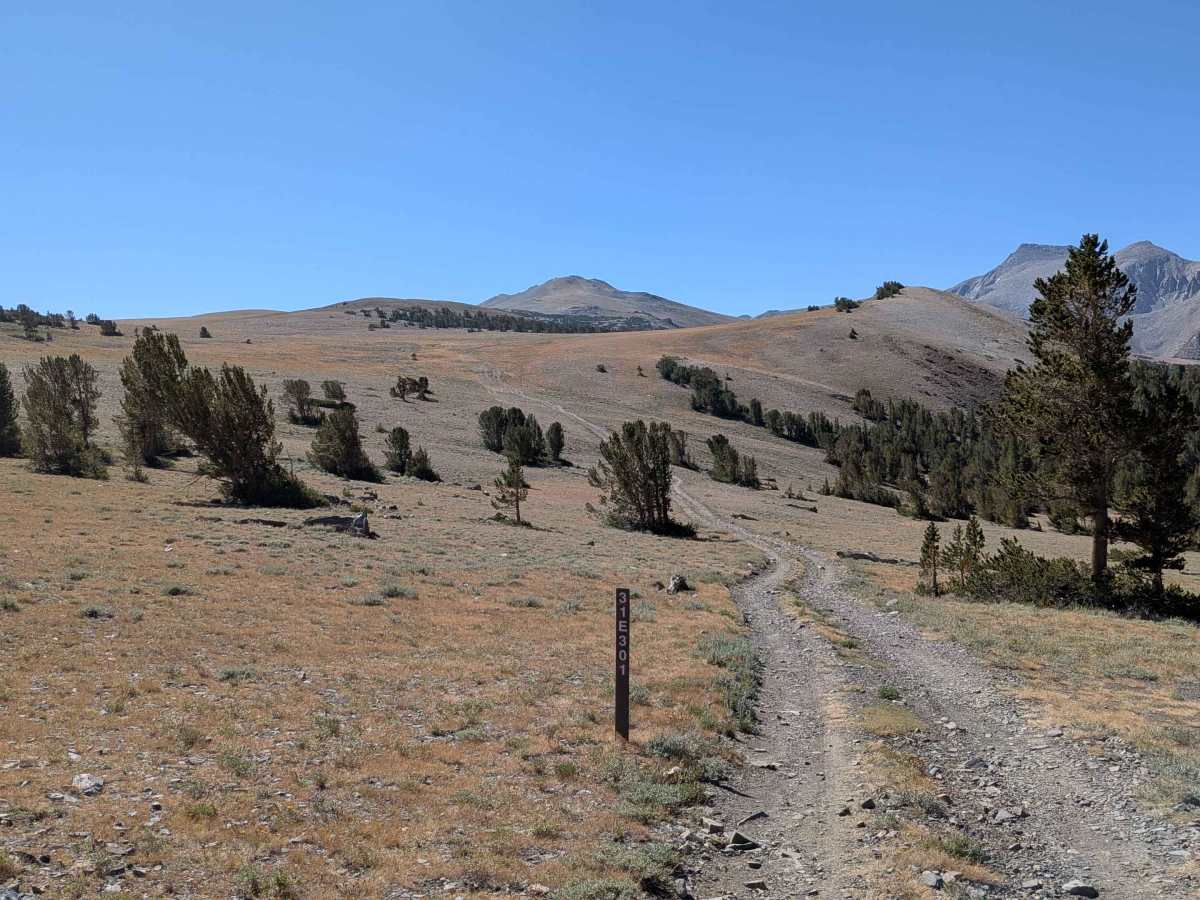 FS 31E301 trail photo