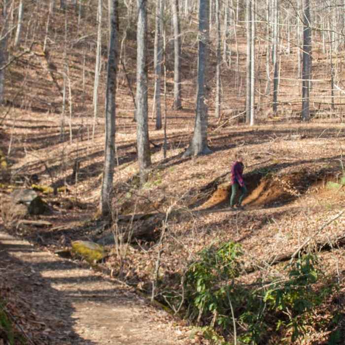 Near Looking Glass Rock Hike Near Looking Glass Rock Hike