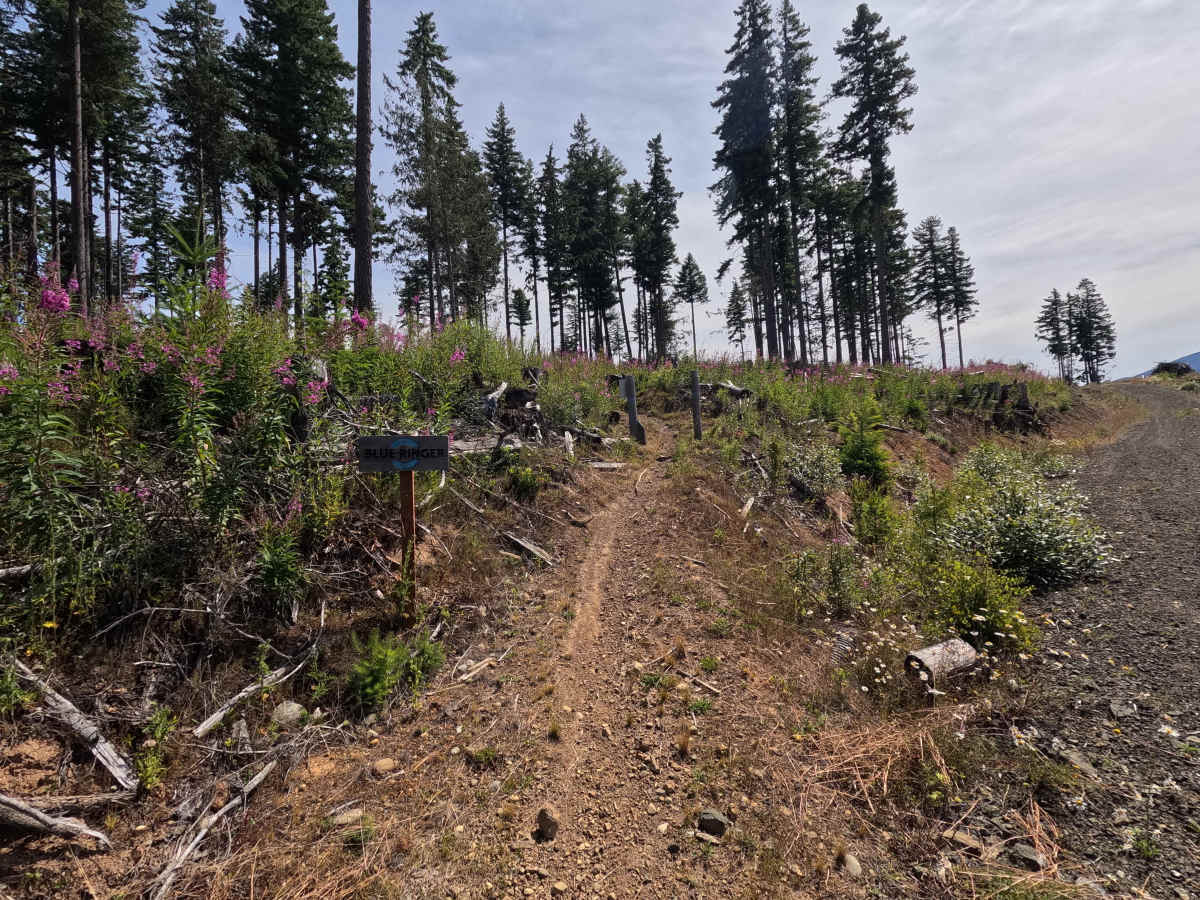 Blue Ringer trail photo