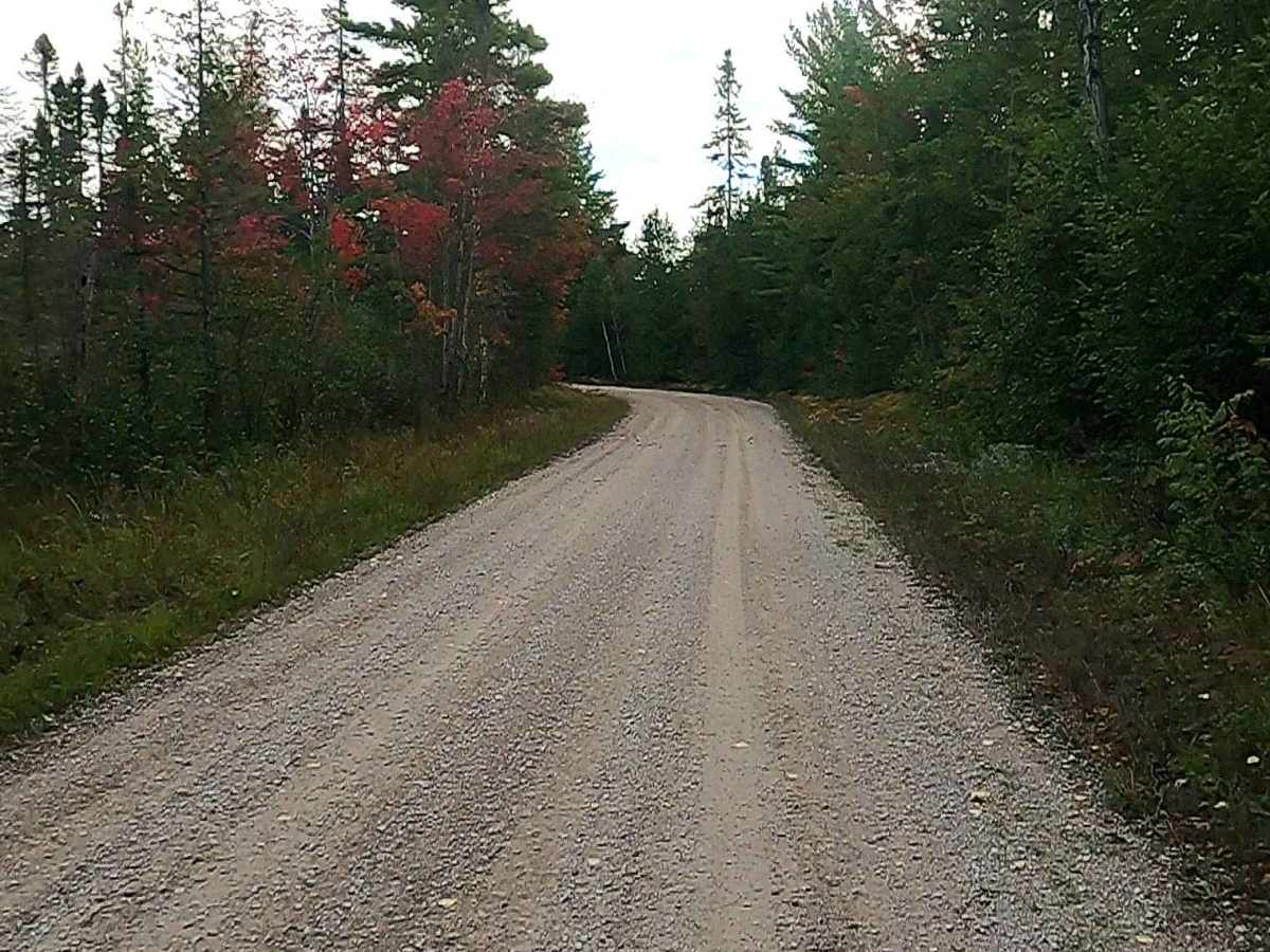 West Wilwin Road/ West Camp 2 Truck Trail - FS 3145 photo 2