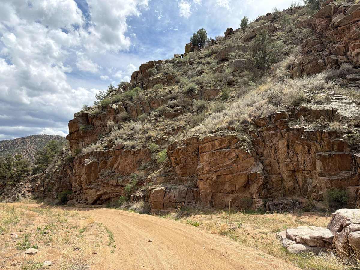 BLM 6024 photo 3