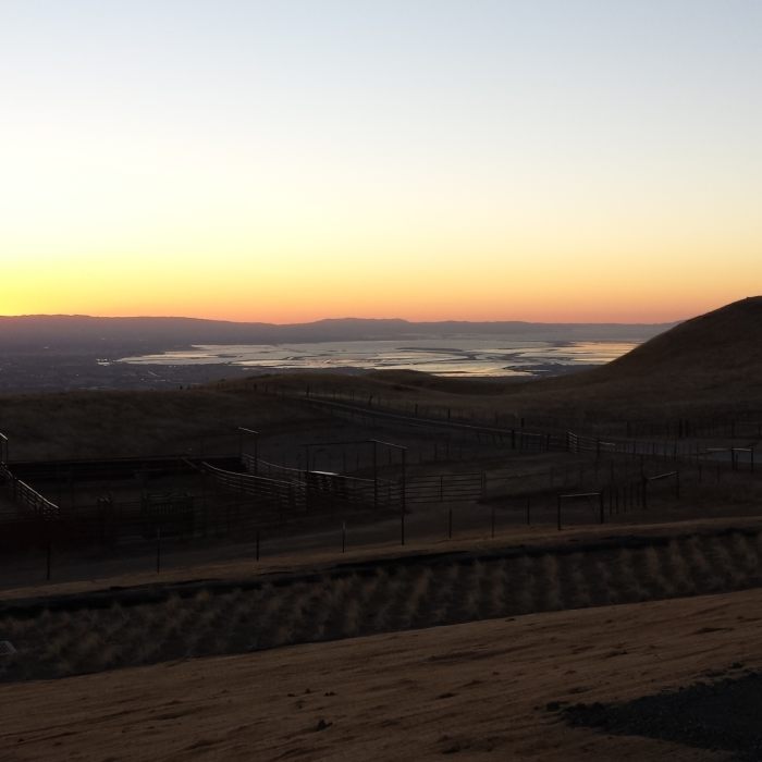 Near Sierra Vista Trail