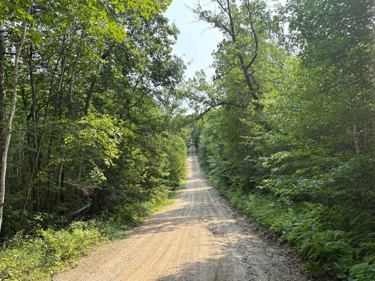 Indian Creek Forest Road photo 6