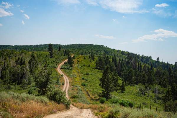 Strawberry Ridge - FS 70518