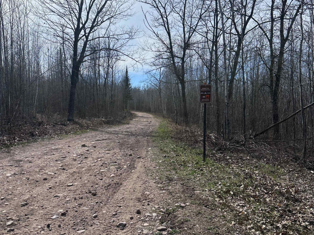 East Arm Forest Road photo 6