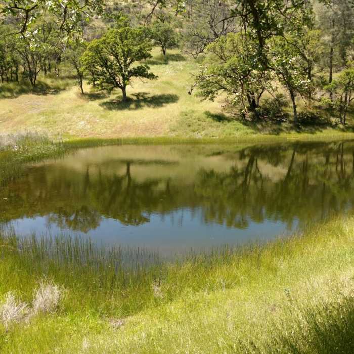 Near Lynch Canyon Trail