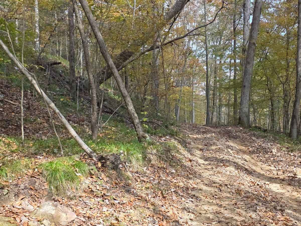 Round the Mountain photo 4