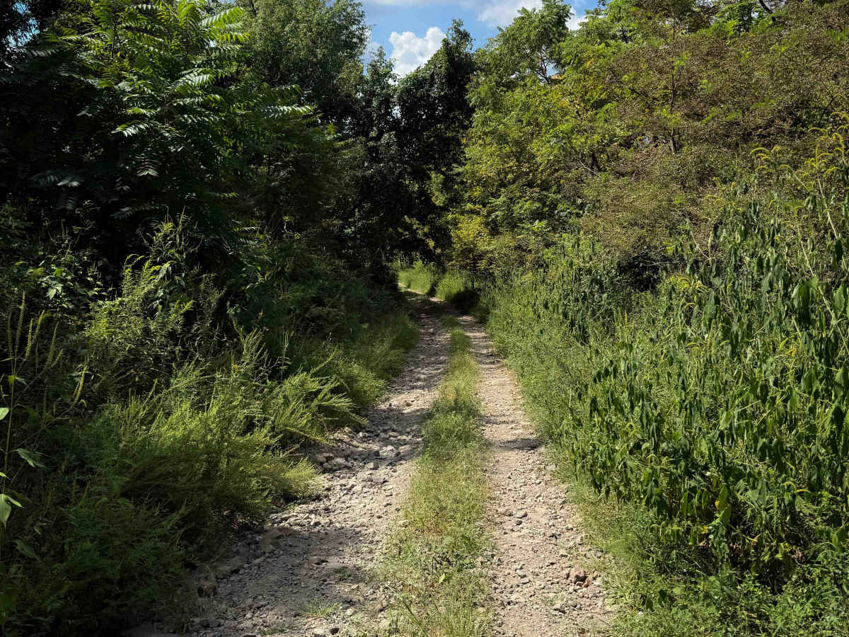 Laco Pit Trail  photo 5