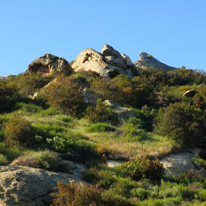 Near Laurel Canyon Loop