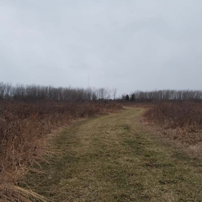 There are great birding opportunities throughout this part of Maumee Bay State Park. Near Maumee Bay State Park Triple