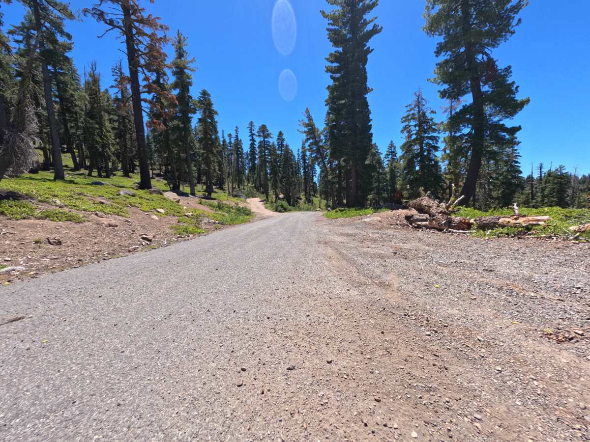 Watson Peak - FS 16N73E trail photo