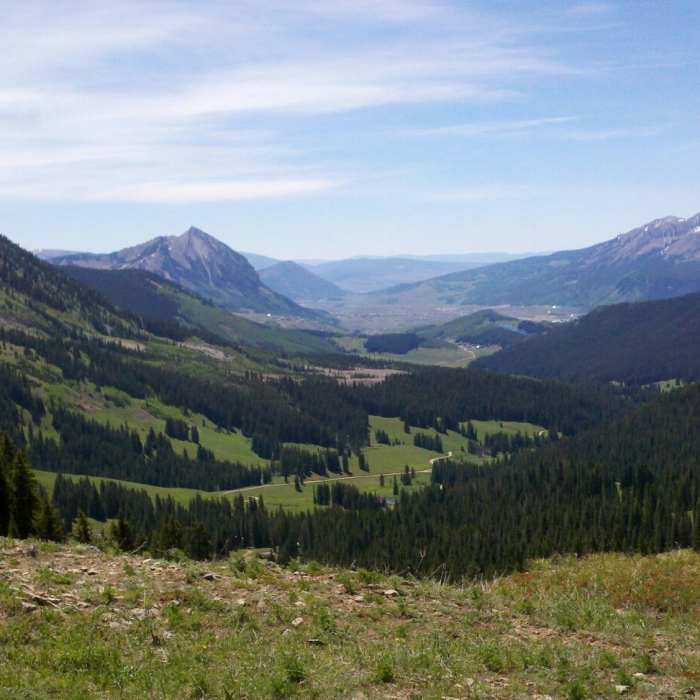 Near Washington Gulch Trail #403