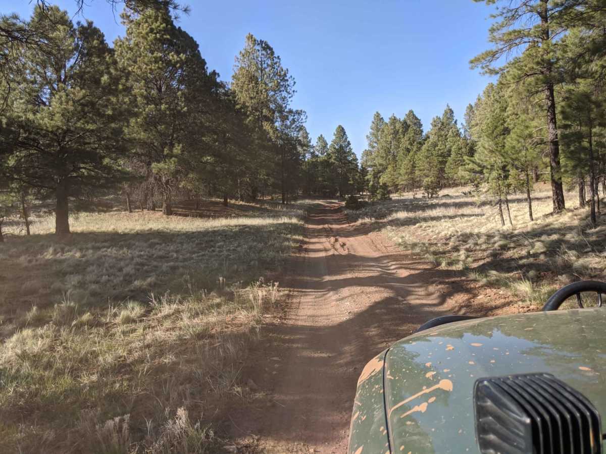 00296 Road photo 3