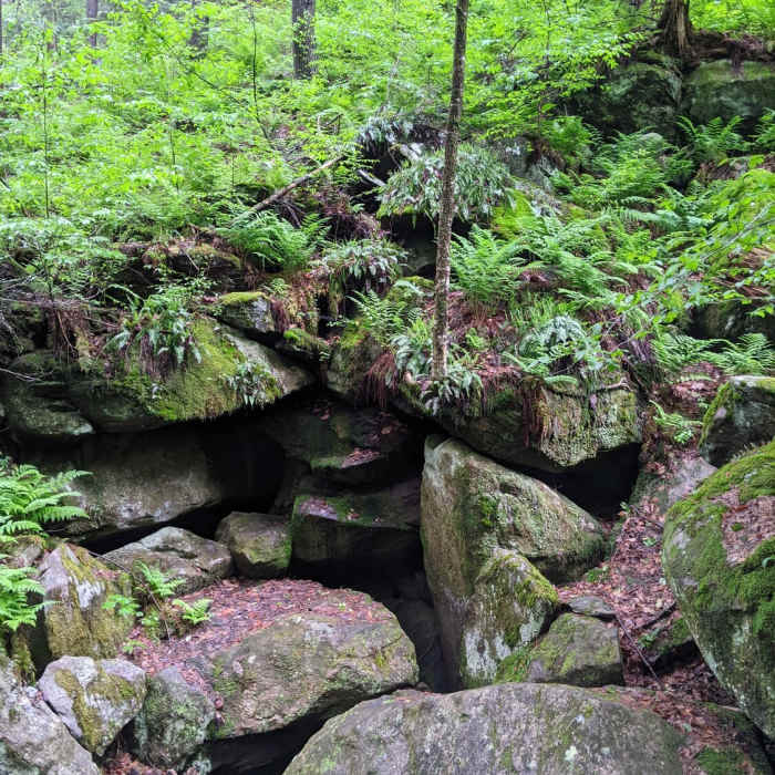 Near Ice Glen Trail