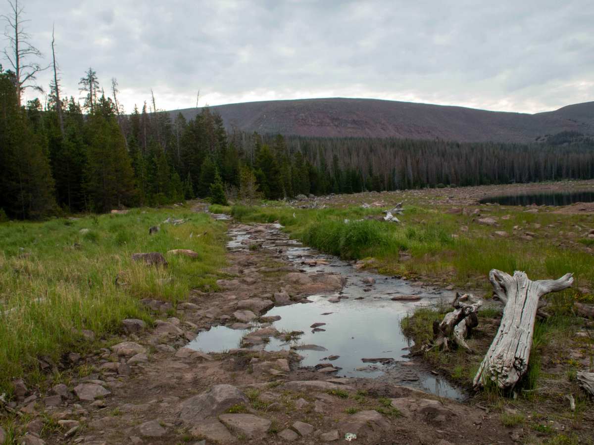 Johnson Creek - FS 10459 photo 2