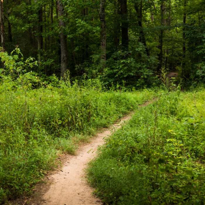 Near Bald Eagle Trail Near Bald Eagle Trail