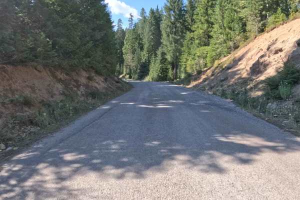Parish Lake Road - FS 2266000