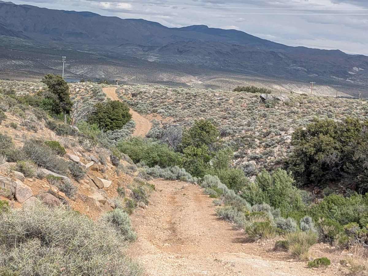BLM SE741 trail photo
