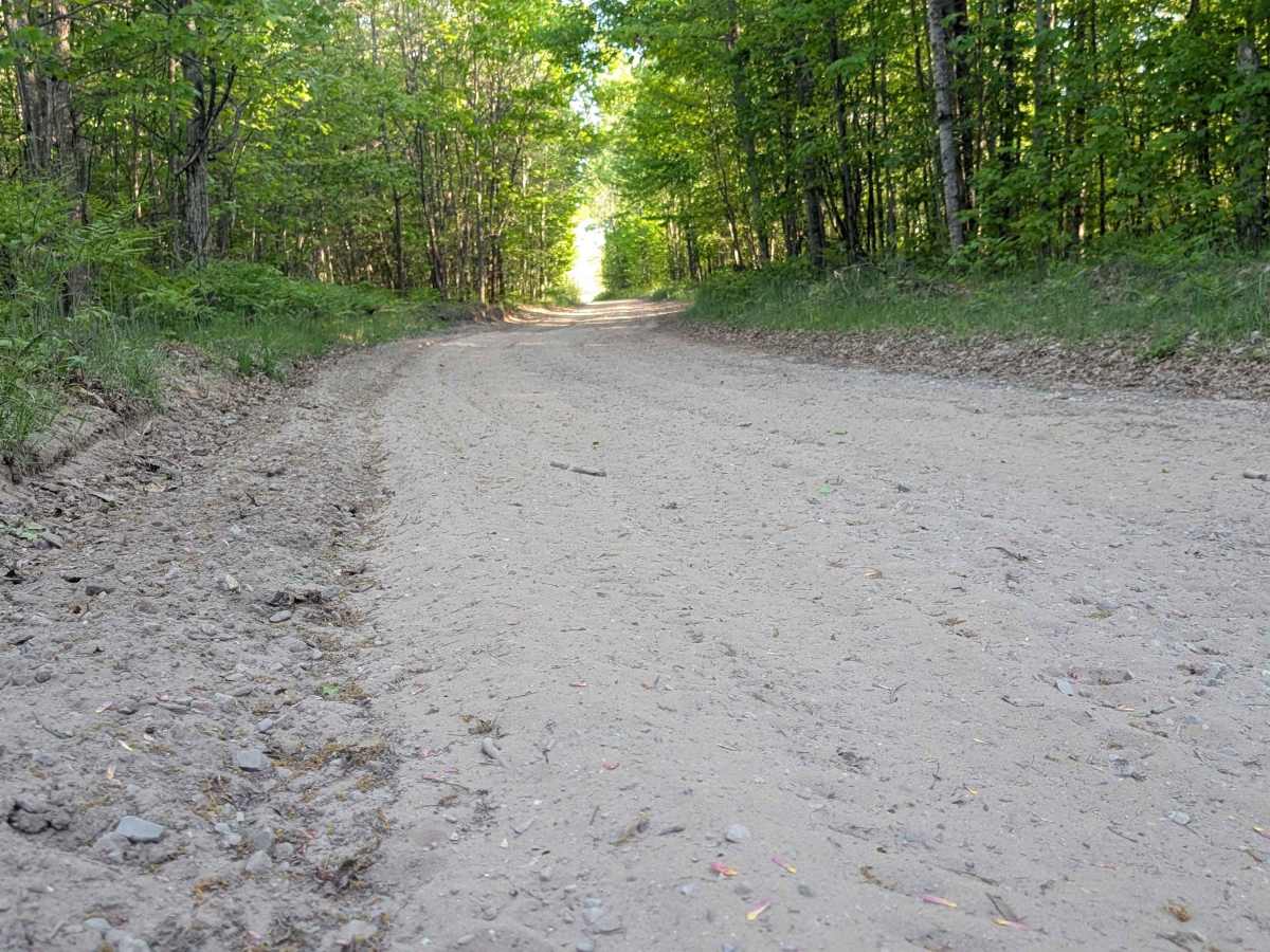 Beech Road photo 4