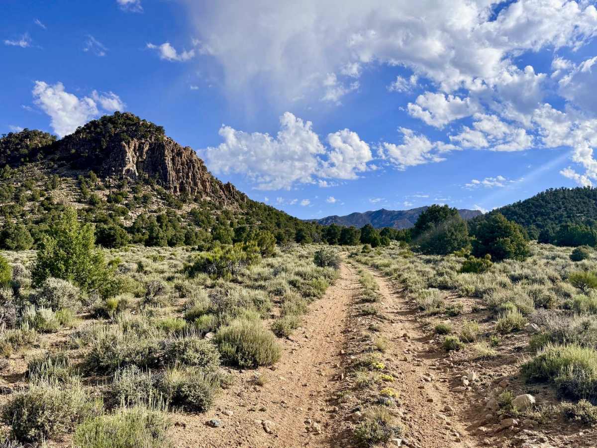 West Mount Priscilla - FS 44440E trail photo