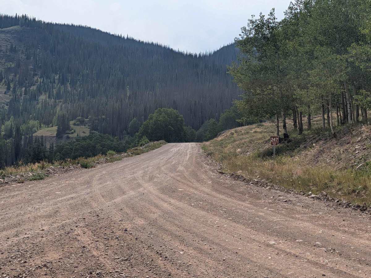 Three Forks Road - FS 247 trail photo