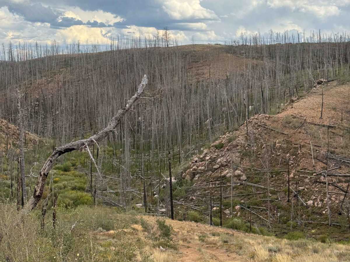 West Gramm Spur photo 2