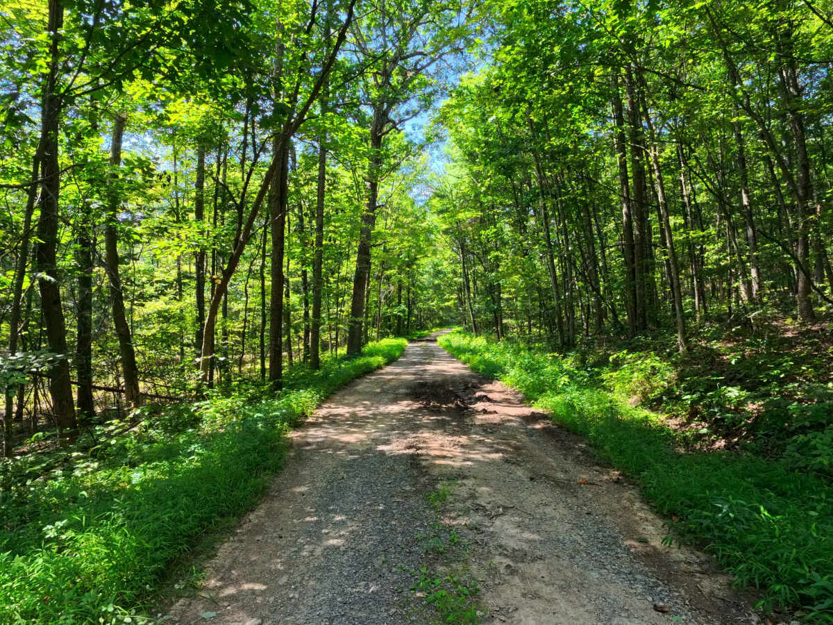 Leading Ridge Road photo 3