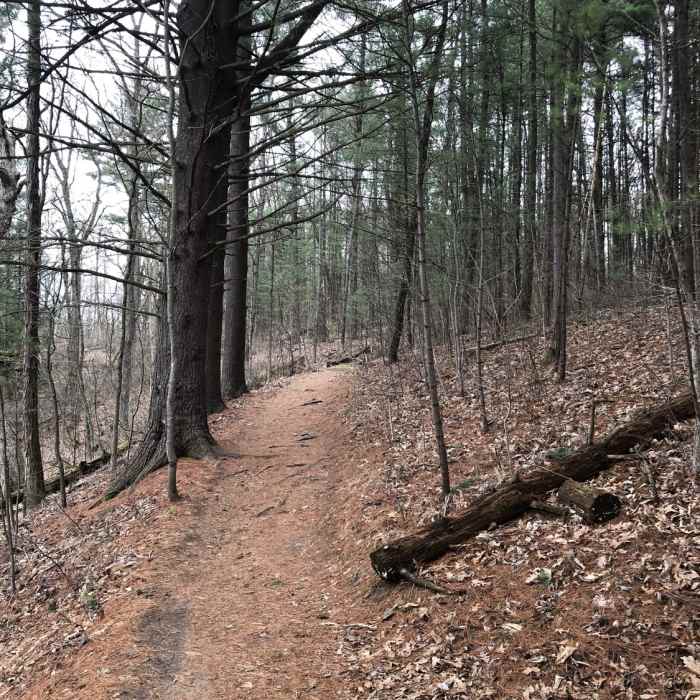 Trail through Pinckney State Park Near Potawatomi Trail