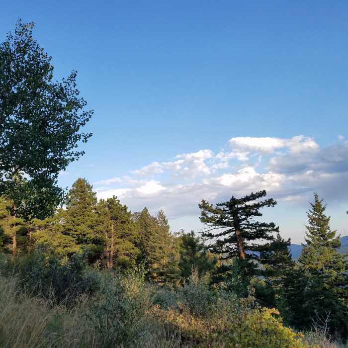 View towards the east/southeast. Near Bergen Peak State Wildlife Area