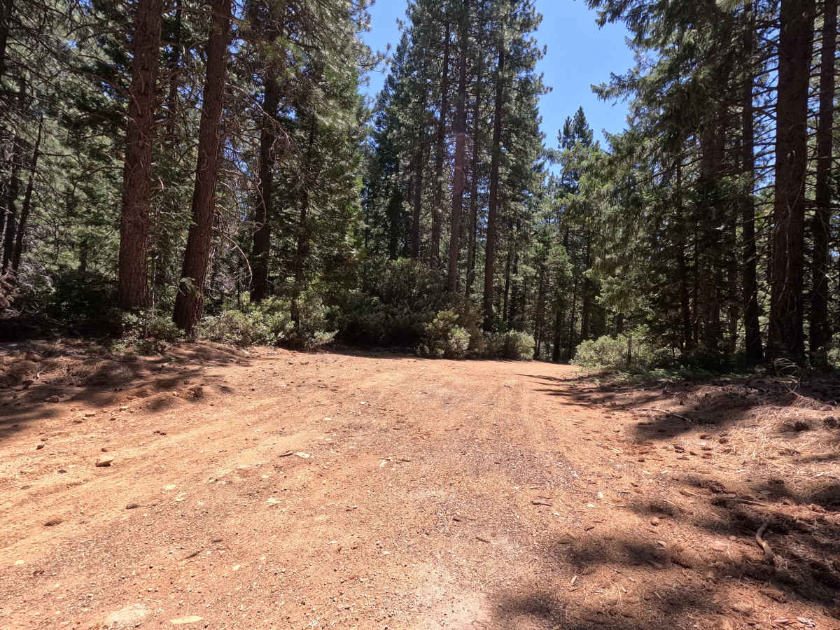 Ney Springs - FS 39N34 photo 5
