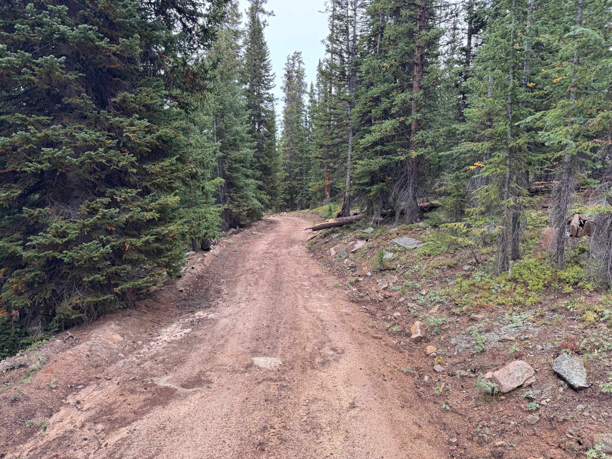 Porphyry Mountain Spur Road trail photo