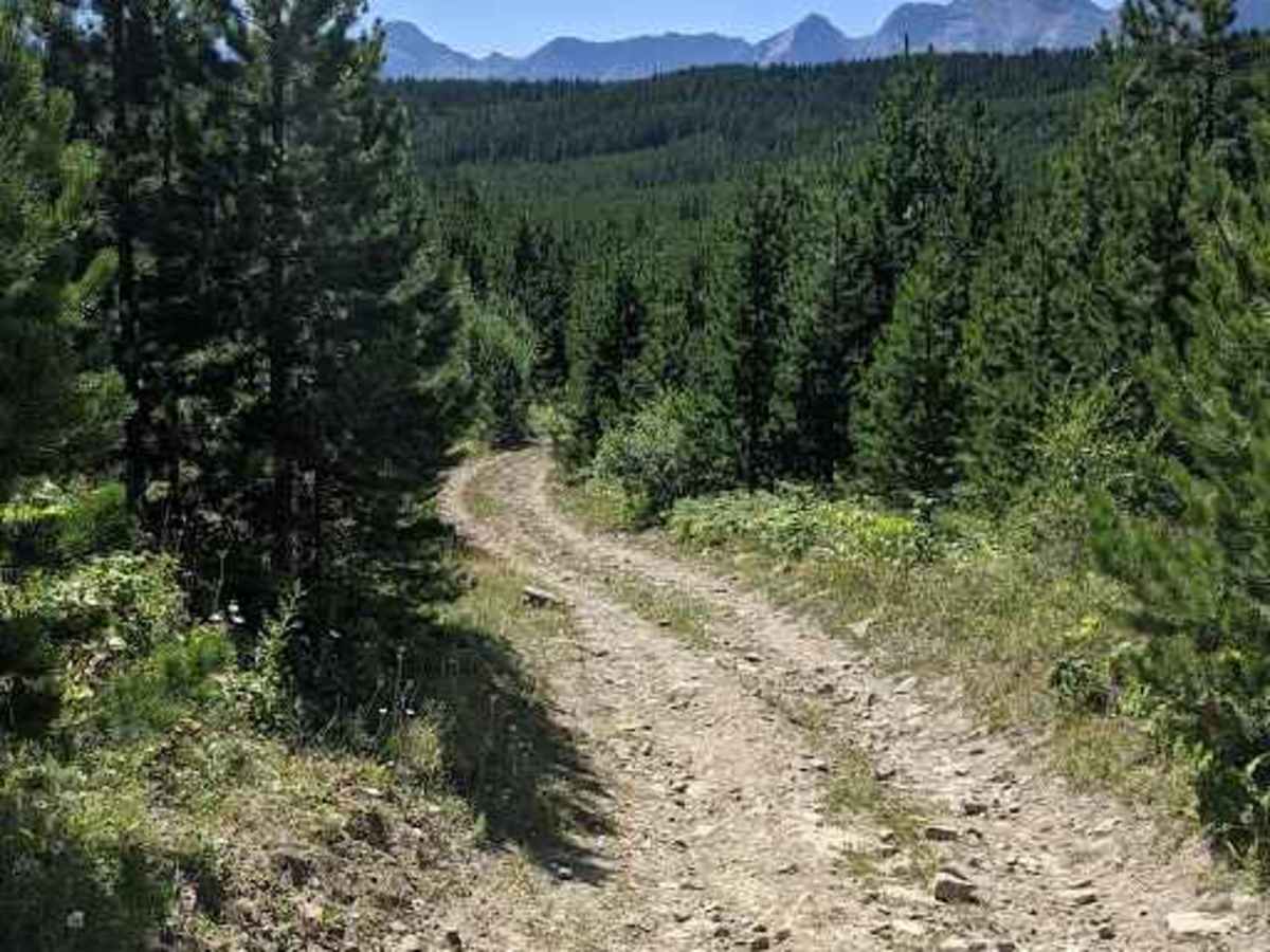 Goat Creek Loop  photo 4