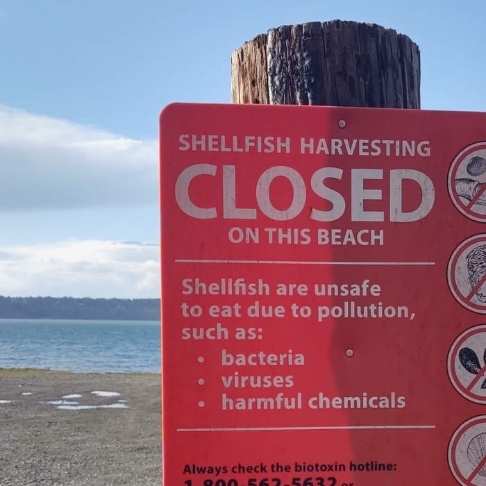 Solo Point Shellfish Harvesting warning Near Solo Point Road