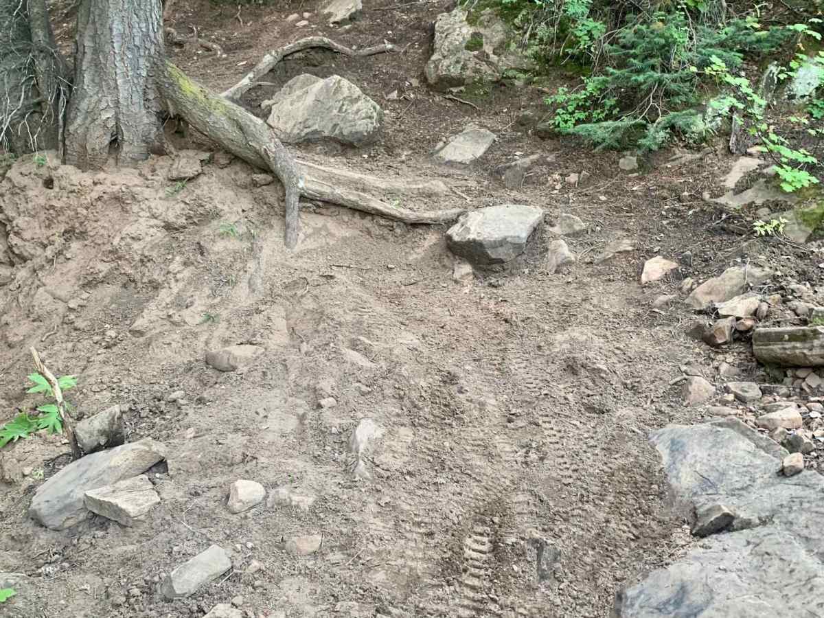 Big Creek Scout Trail photo 2